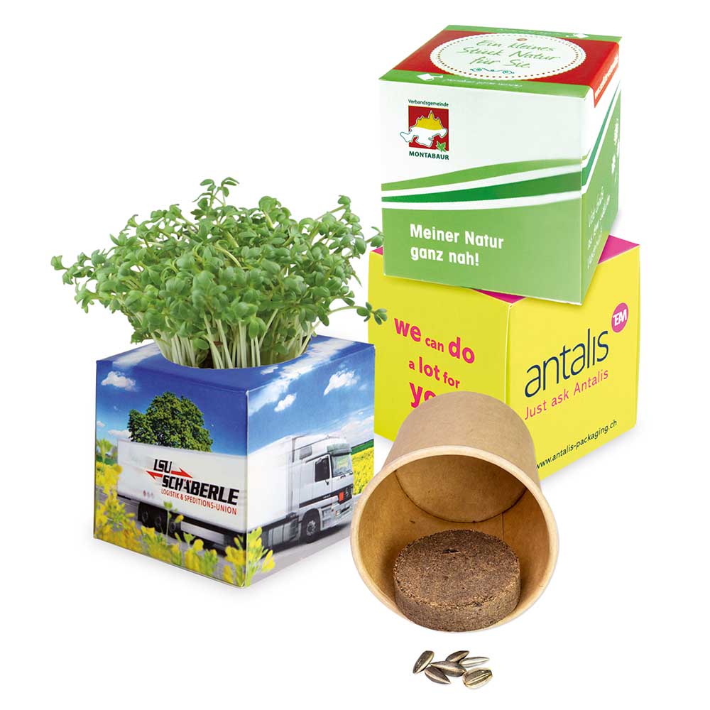 Pflanz-Würfel 2.0 mit Samen