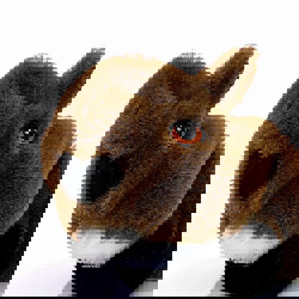 Hundespielzeug RecycelBiber, braun, one size