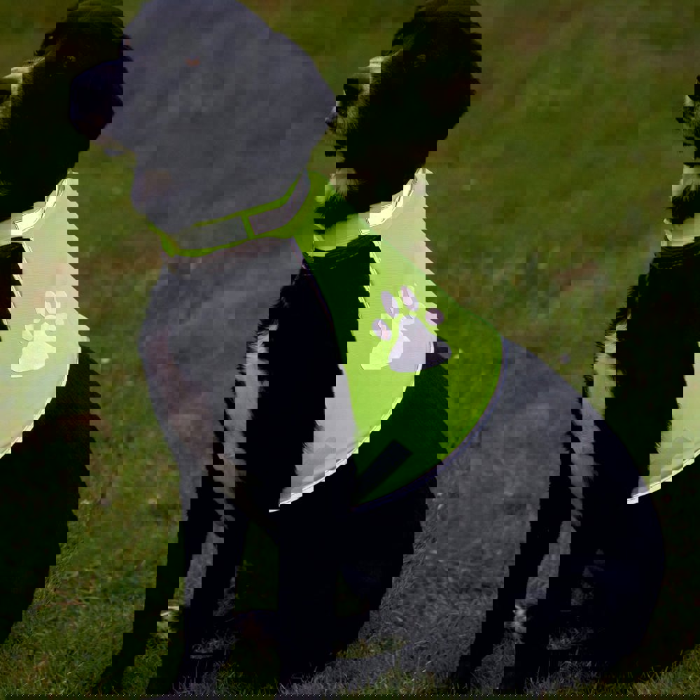 Hundewarnweste, neongelb, S