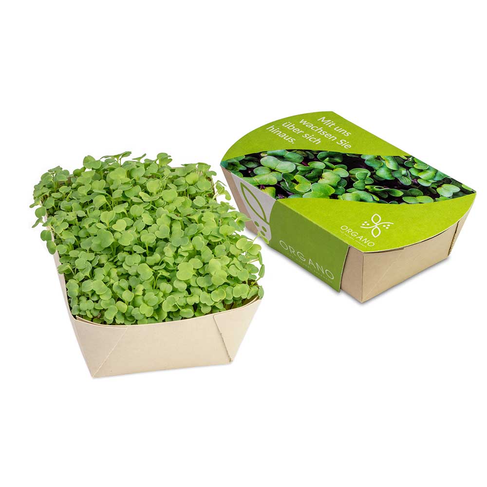 Microgreens-Gärtchen - individuell