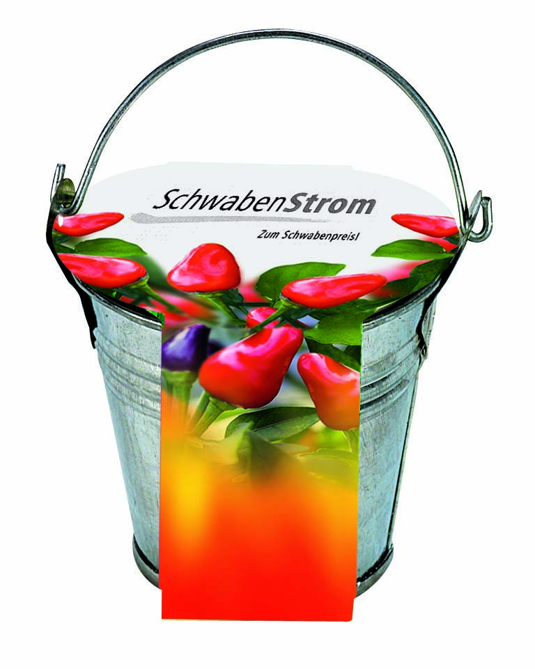 Zinkeimerchen Chili, Chili, inkl. Digitaldruck 1-4/0 c