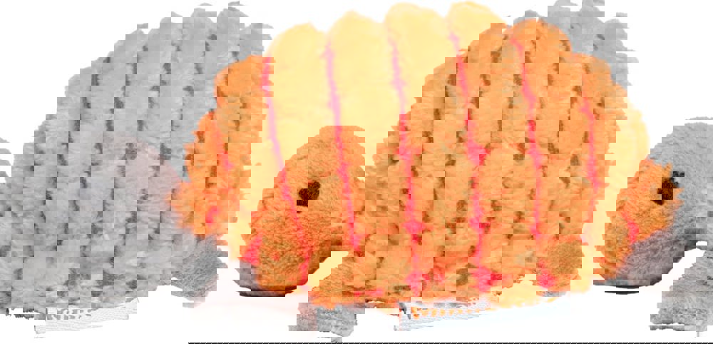 Katzenspielzeug Schildkröte, multicolour, one size