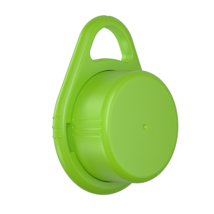 Schlüsselanhänger RITTER-CLICK BOX - grün