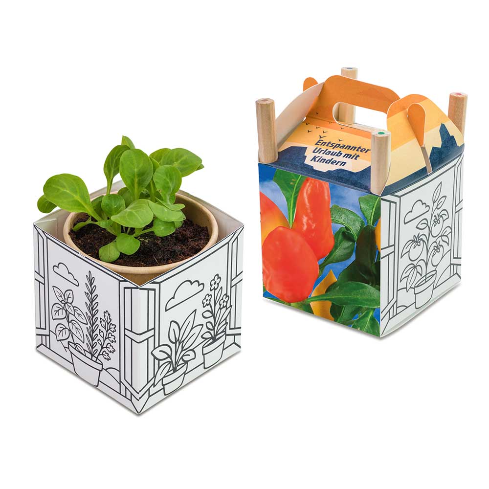 Color & Grow House - Ostern - Gewürzpaprika