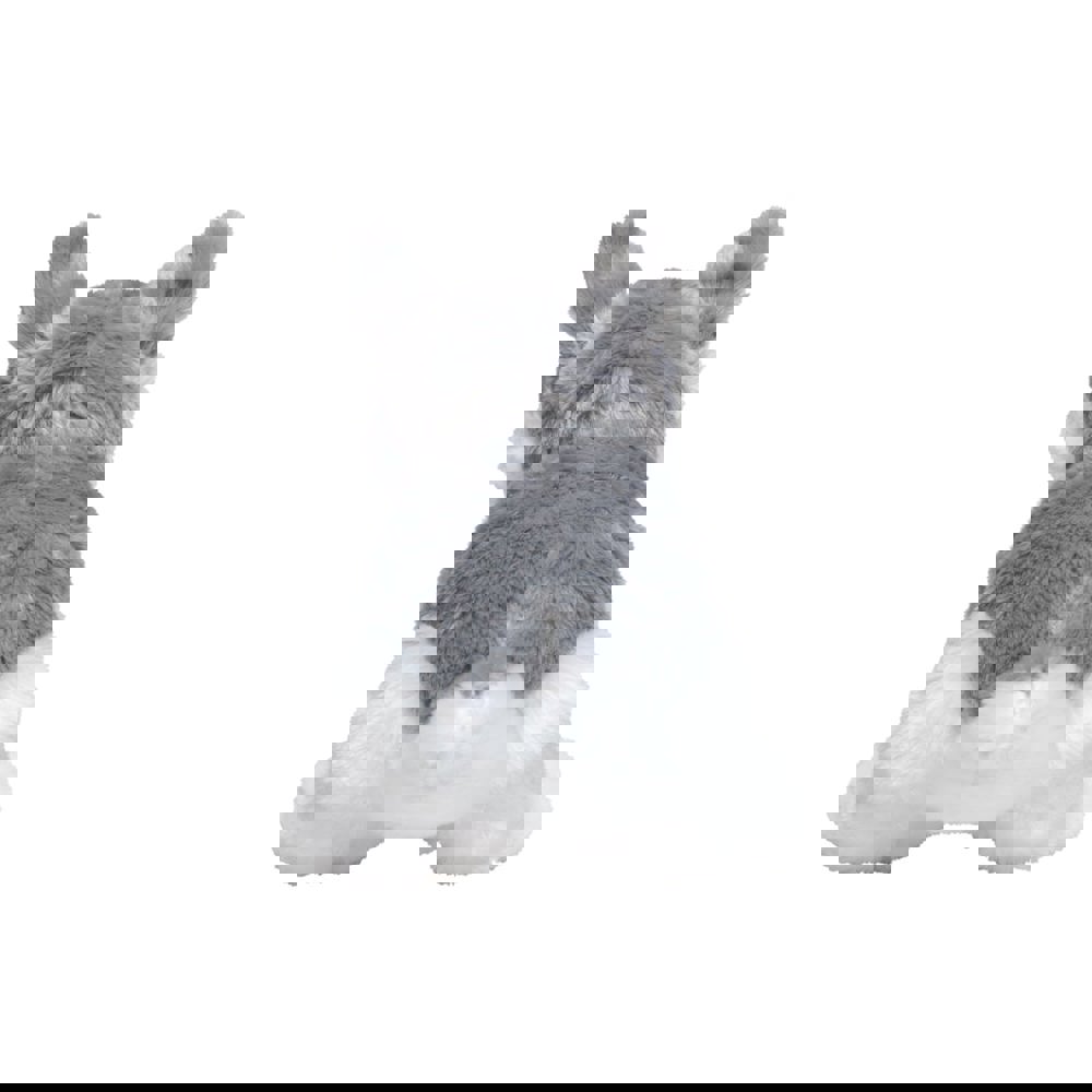 Husky Harri, grau, one size