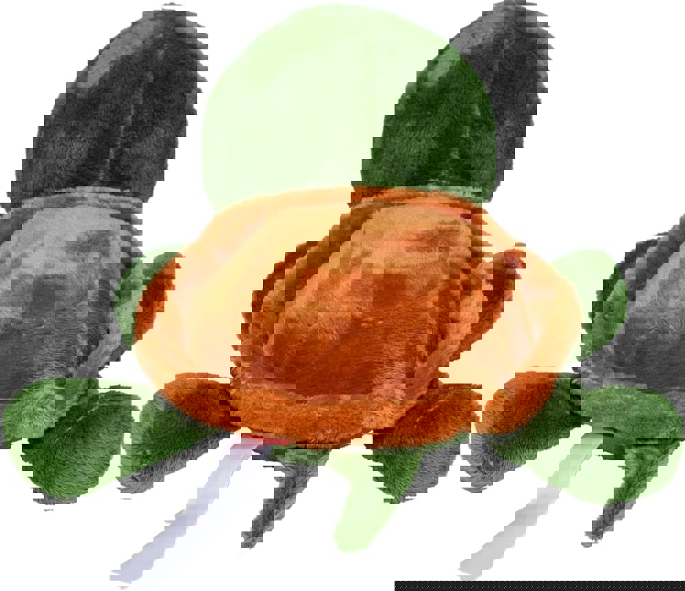 Schildkröte Lotte, grün, one size