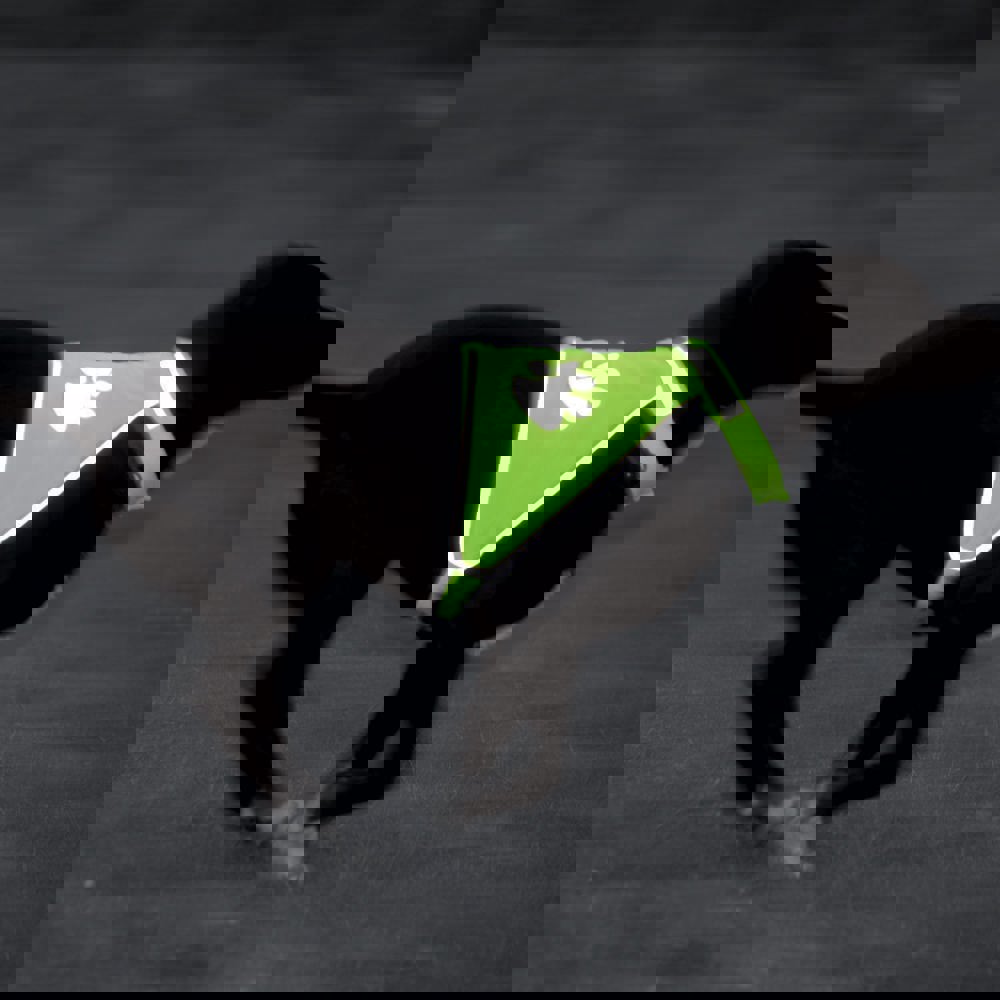 Hundewarnweste, neongelb, S