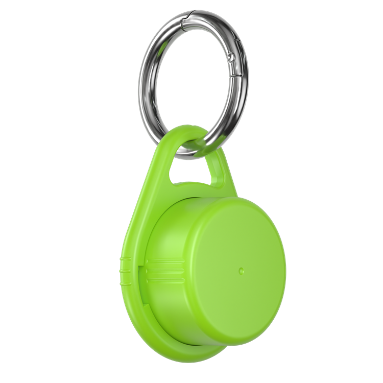 Schlüsselanhänger RITTER-CLICK BOX M mit Metall-Karabiner - grün
