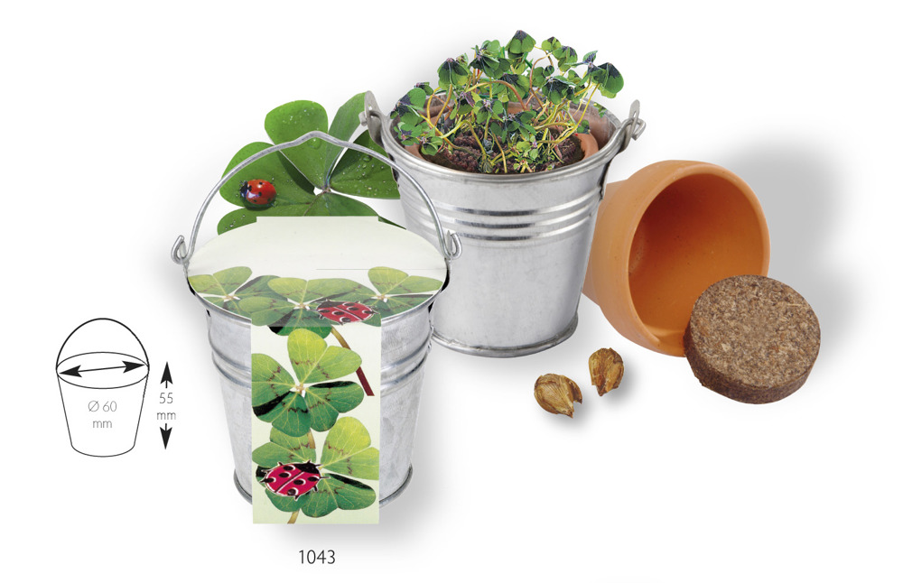 Zinkeimerchen Glücksklee, Glückskleezwiebelchen, inkl. Digitaldruck 1-4/0 c