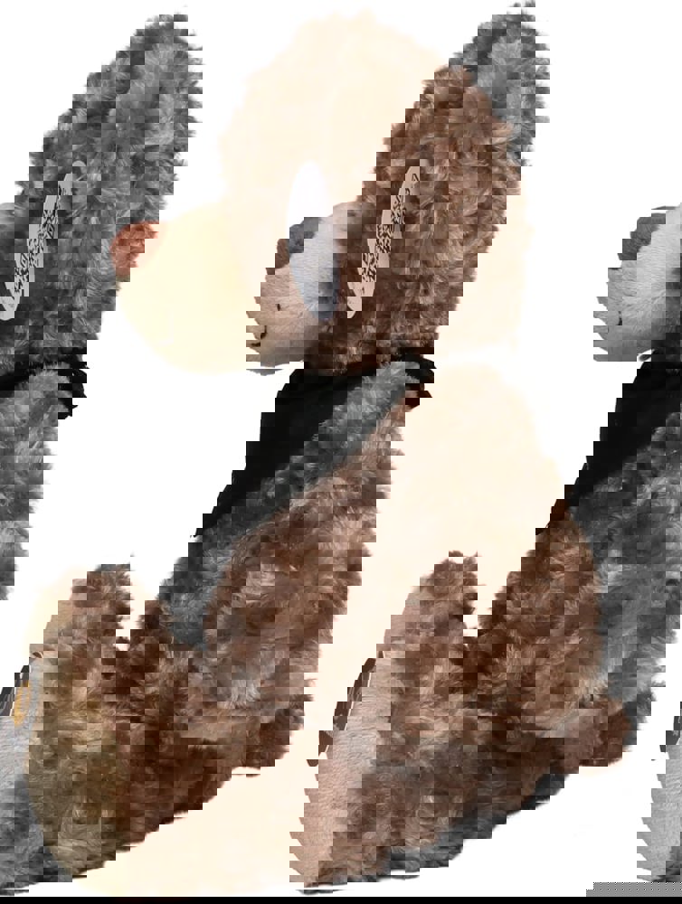 Oktoberfest™ Bär Bodo, beige, M