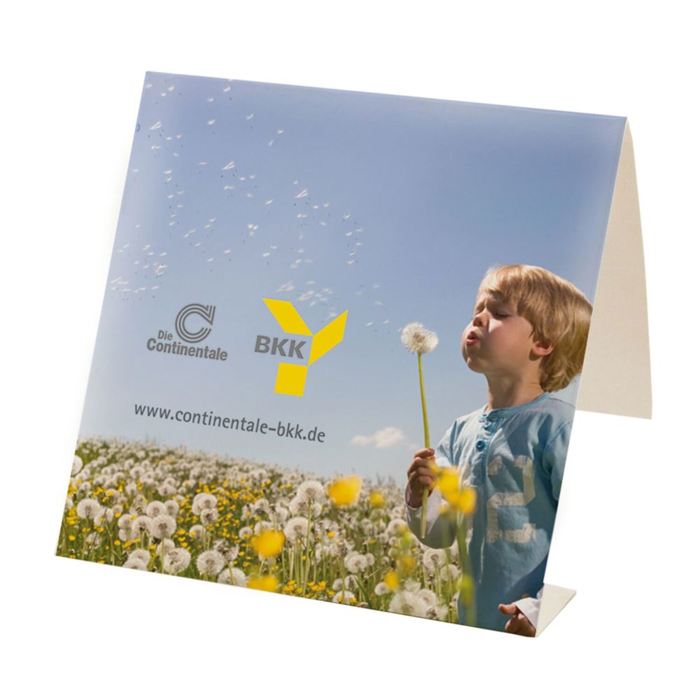 Pflaster-Set Mixed, 14-teilig