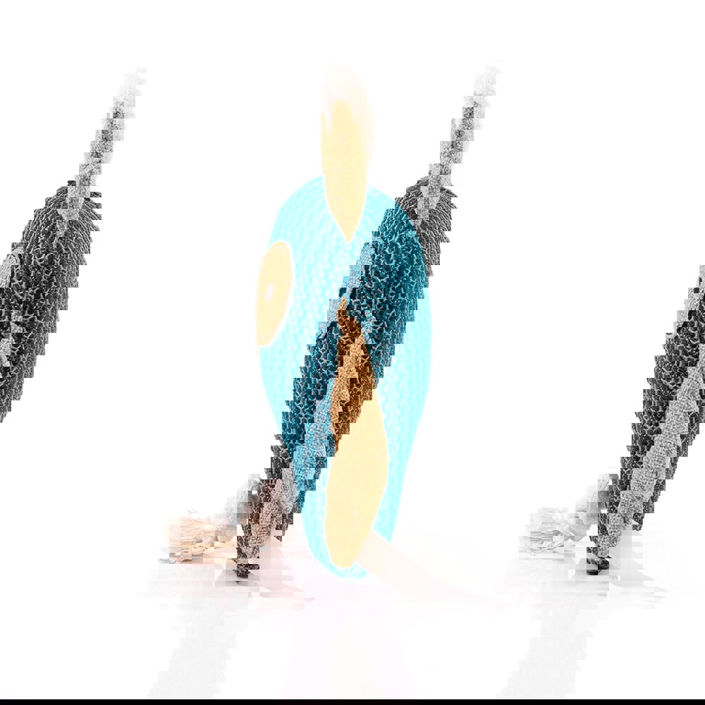 Hundespielzeug Eule, blau, one size