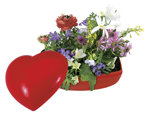 Blumen-Herz, bunte Blumenmischung