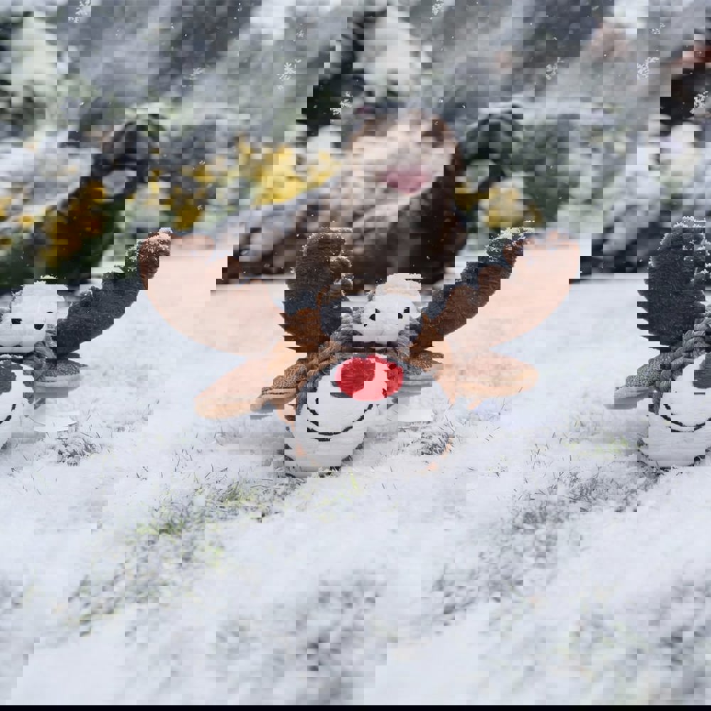 Hundespielzeug Knotentier Elch, multicolour, one size