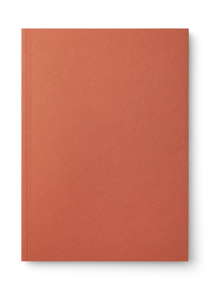 mishmash x prodir MM02 - TerraRosa