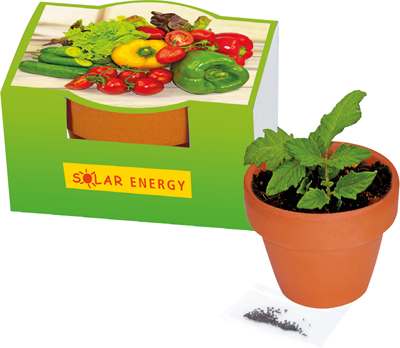 Naschgemüse-Töpfchen, Blattsalat-Mix, inkl. Digitaldruck 1-4/0 c