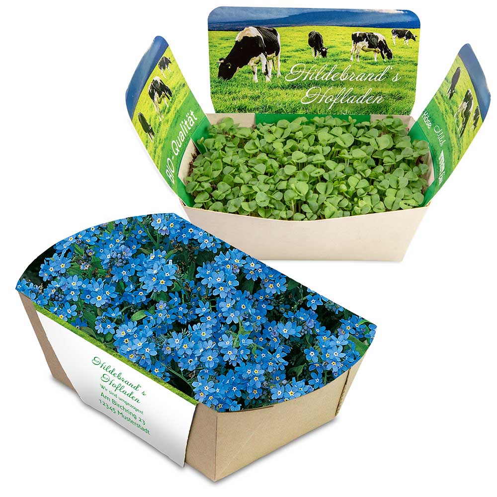 Pflanzodrom mit Samen - individuell