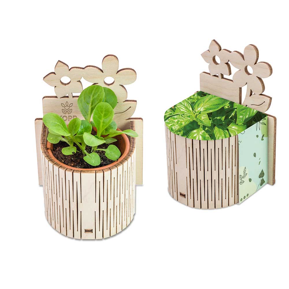 My Tiny Garden Blümchen - Basilikum