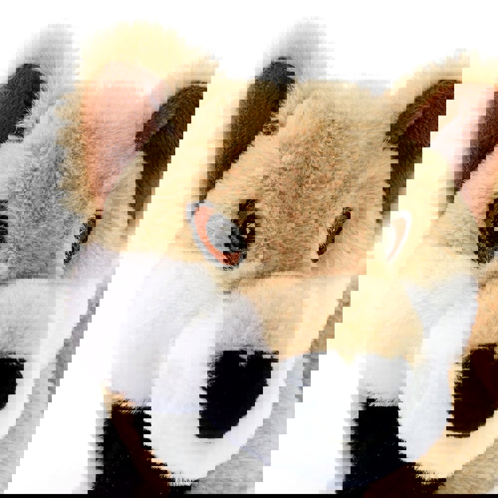 Hundespielzeug RecycelFuchs, beige, one size