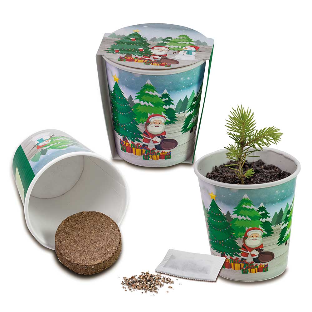 Weihnachtsbaum To-Go