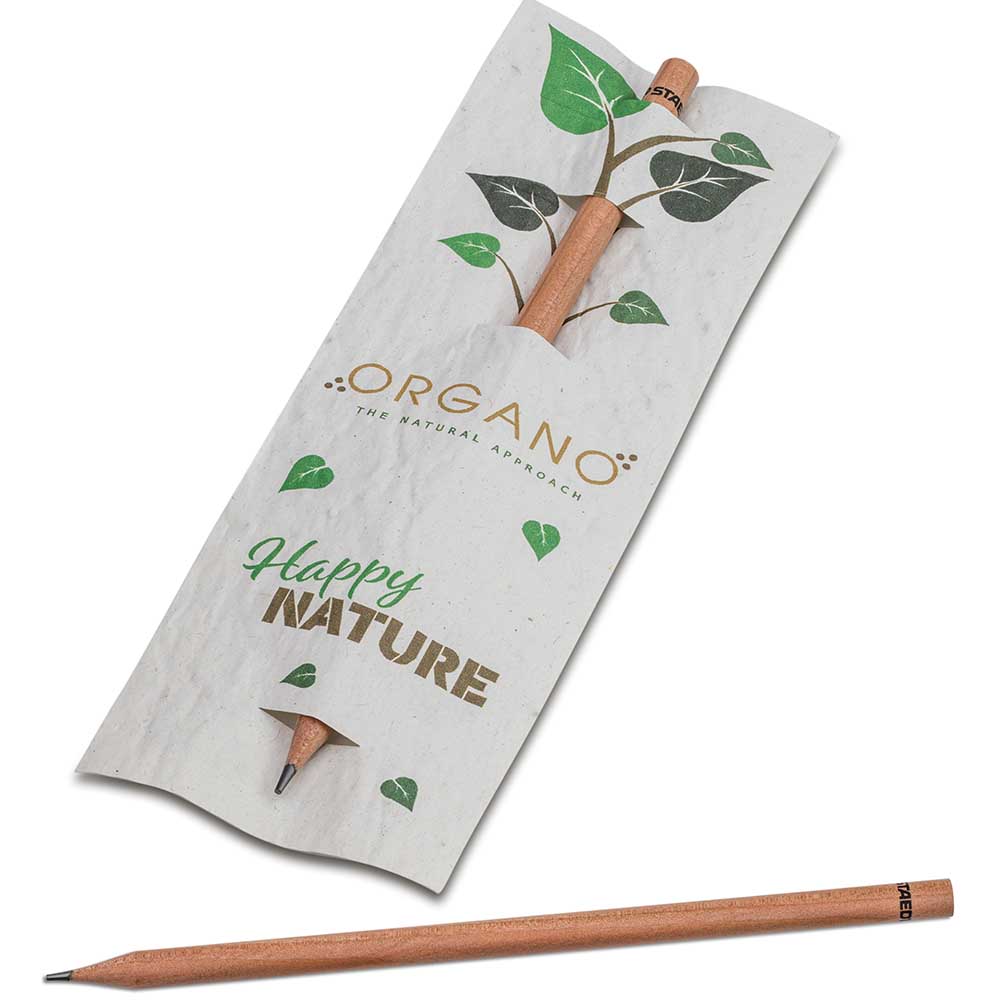 Bleistift im Samenpapieretui