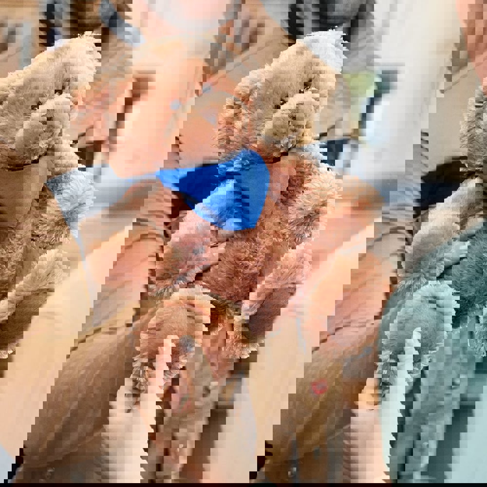 Bär Kerstin, braun, one size