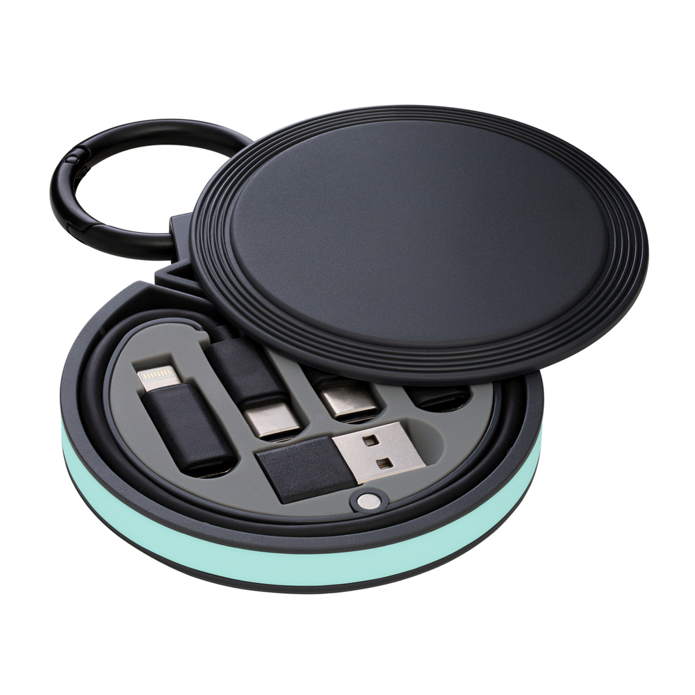 6-in-1 Ladekabel REEVES-myCONVERTICS - mint, schwarz