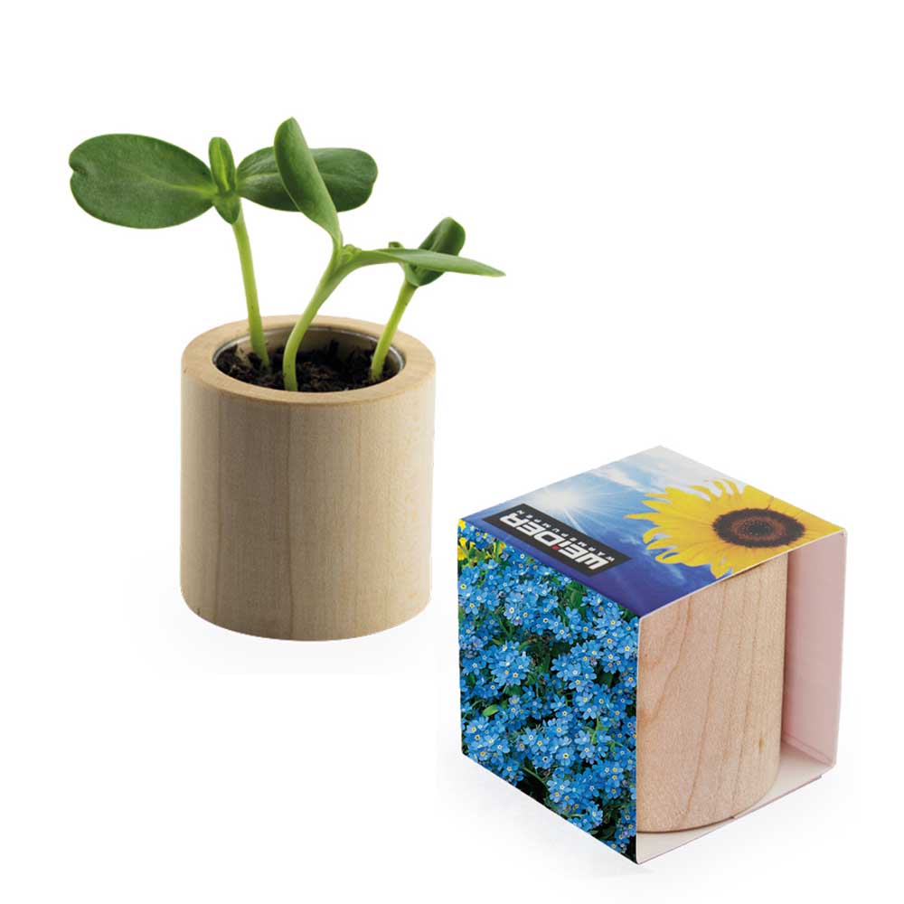 Pflanz-Holz rund mit Samen - Individuell