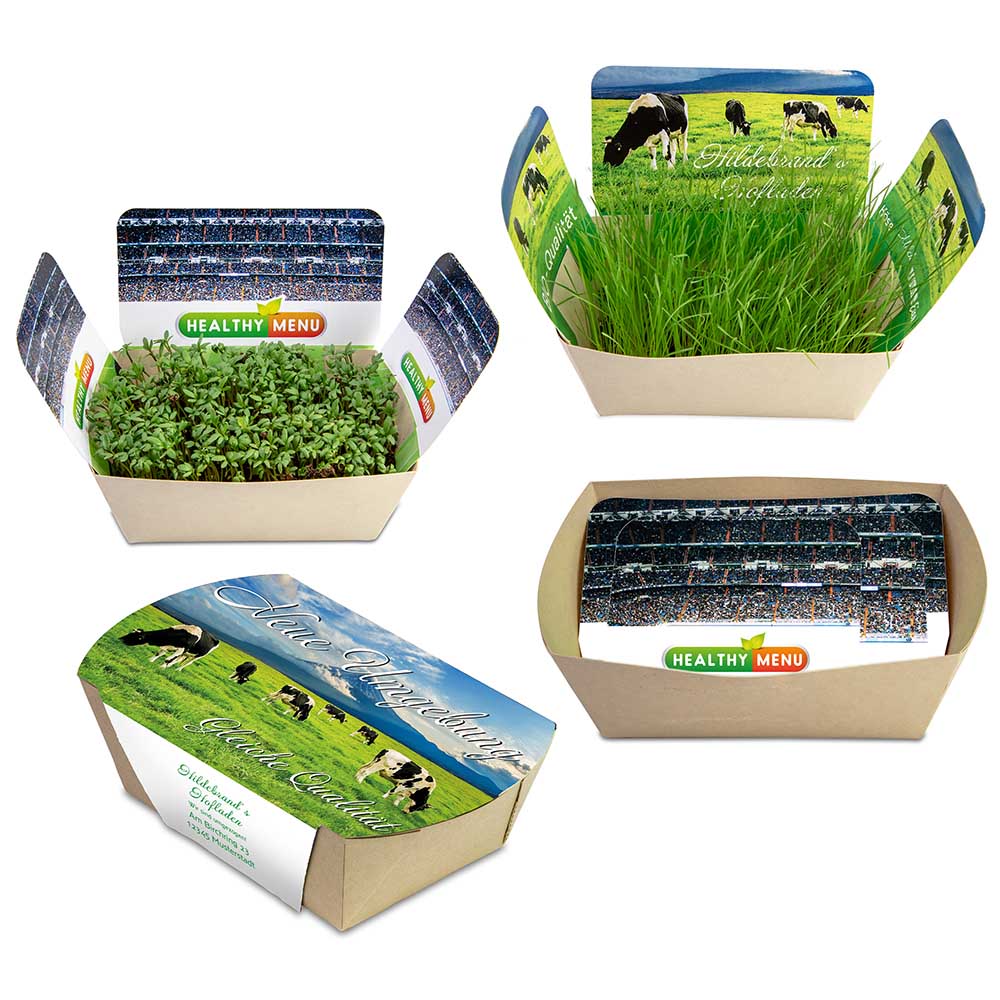 Pflanzodrom mit Samen