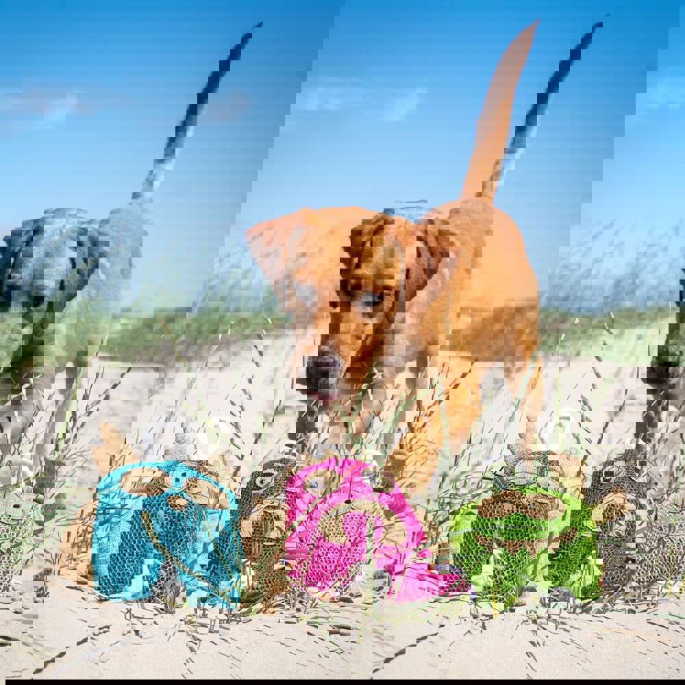 Hundespielzeug Monster, pink, one size