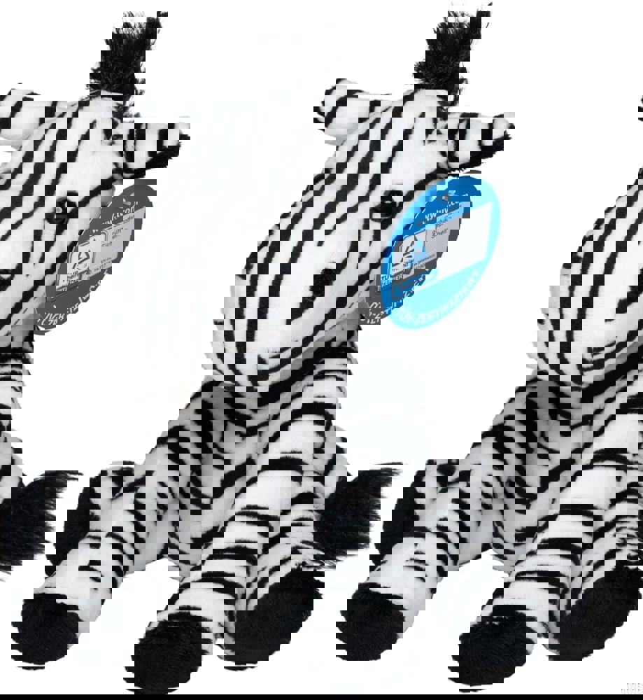 Zebra Zora
