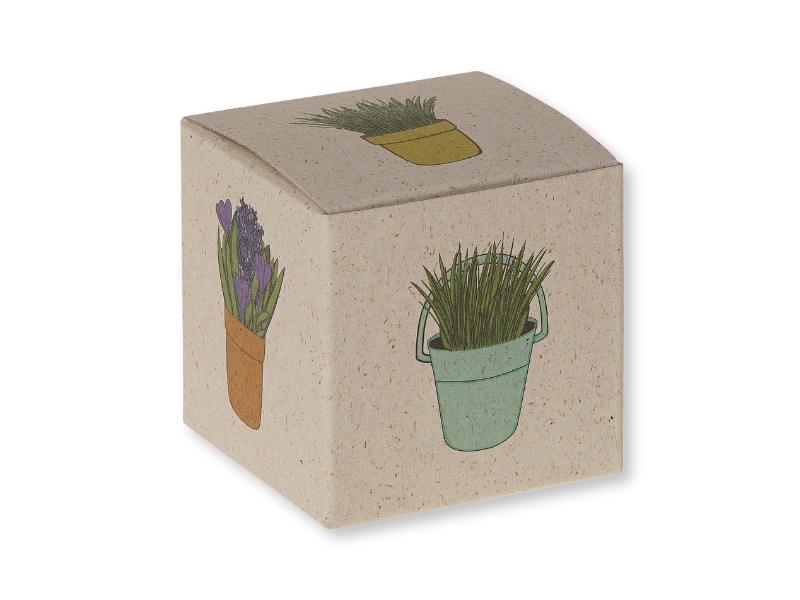 Werbepower-Samenwürfel